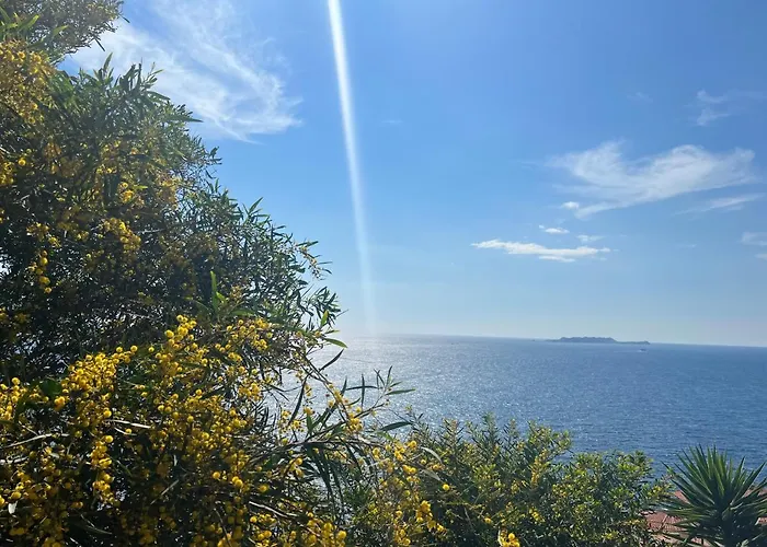 Salina Pansiyon